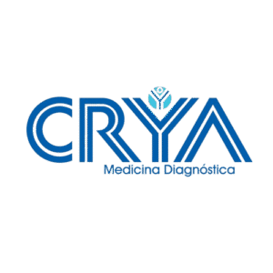 Perfil-copy-removebg-preview